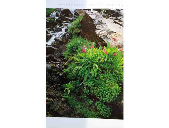 Wildflowers of the American West by Rose Houk