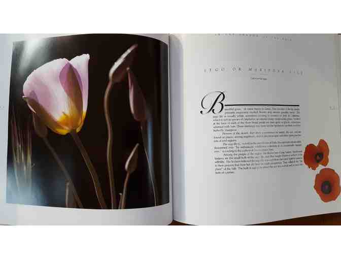 Wildflowers of the American West by Rose Houk