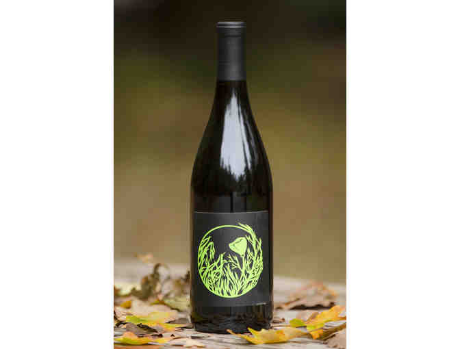 Old World Winery 2015 Pinot Noir; Lot 17 Hard Apple Cider, 2014 Abundance Red Wine