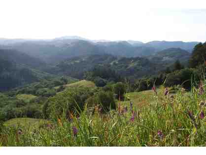 Austin Creek back-country sight seeing tour with Justin