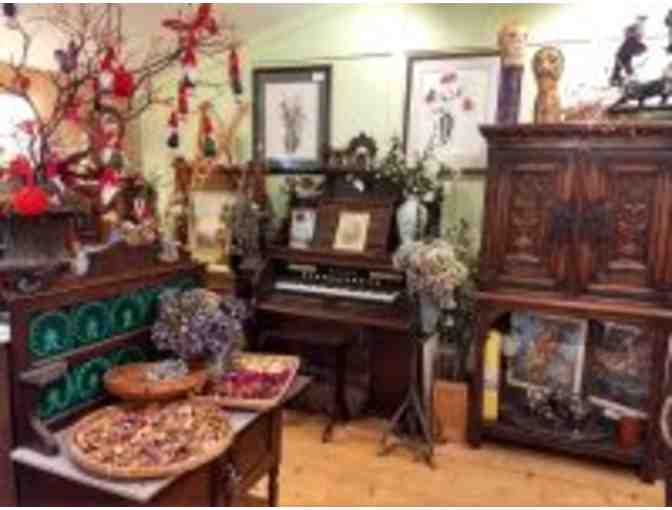 Bountiful blossoms for bees and butterflies from Antiquarian and Florabunda