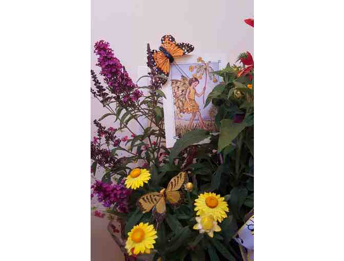 Bountiful blossoms for bees and butterflies from Antiquarian and Florabunda