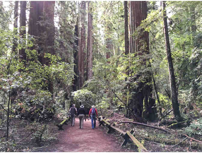 Walk with Mike through Armstrong Redwoods to wine and hors d'oeuvres!!!