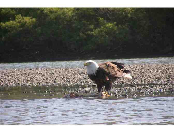 3 hour PRIVATE tour for 3! WaterTreks Kayak trip in Jenner