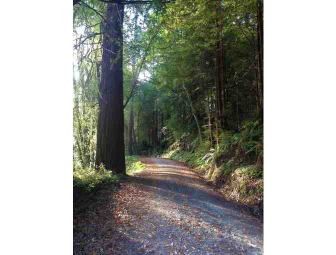 'Secrets of Willow Creek' A unique 4 hour guided tour by Laura Morgan