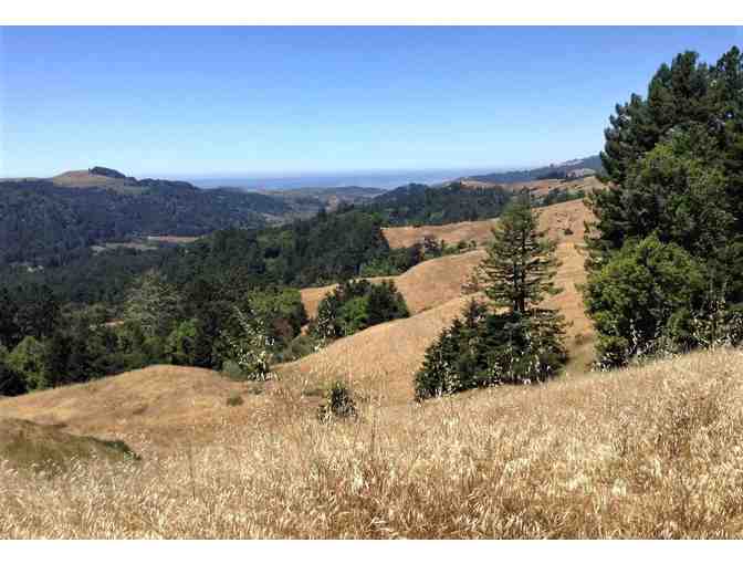 'Secrets of Willow Creek' A unique 4 hour guided tour by Laura Morgan