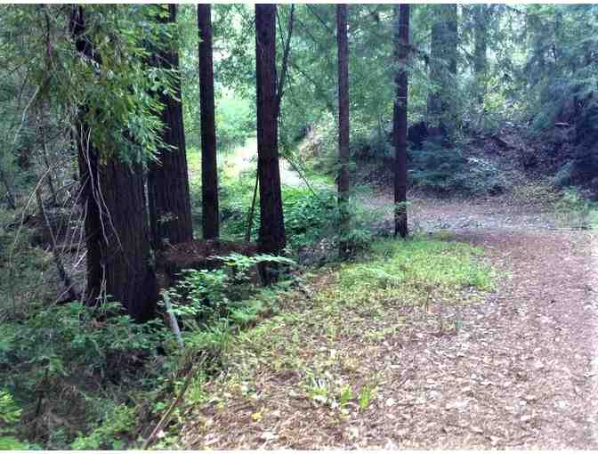 'Secrets of Willow Creek' A unique 4 hour guided tour by Laura Morgan