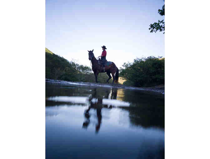 Horseback riding at Chanslor Ranch for two at Salmon Creek - Bodega Bay!