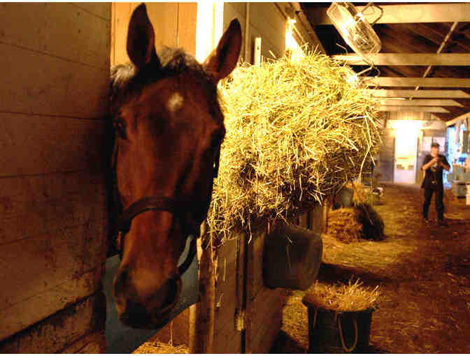 Churchill Downs VIP Experience (Kentucky): 3-Night for 2, Private Jockey Club Suite+Race