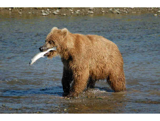 Alaska's Majestic Frontier, Alaska#Cruise for two for seven nights Veranda Stateroom+tax+t