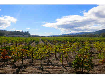 California Duet and Wine Tour, San Francisco and Sonoma Three Nights +Tour