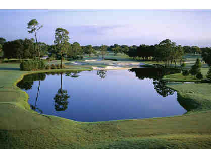 Golf Where the Pros Golf (Orlando, FL) *4 Days at the Arnold Palmer + golf+more