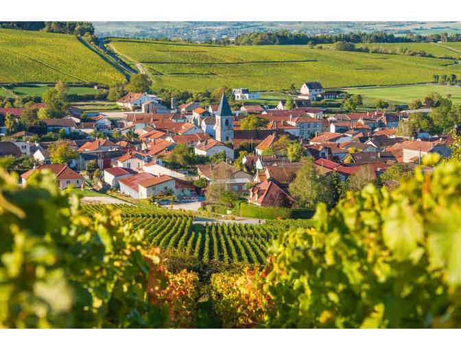 Tour Cellars and Pop Open the Bubbly! (Champagne, France) *6 Days + Tours+SPA - Photo 4