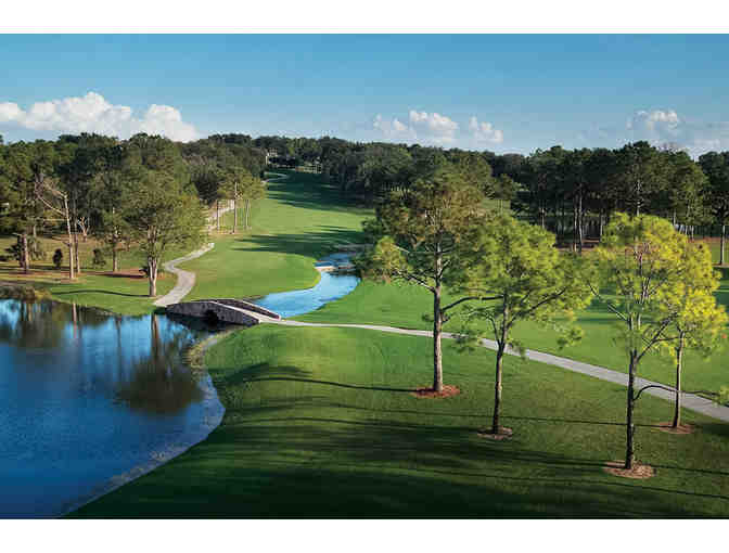 Enjoy the Great Outdoors or Soothing Spa, Florida*4Days @Mission Inn Resort Club+Golf