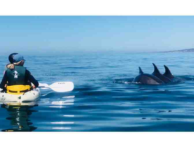 Aquatic Adventures Basket by Mrs. Vincent's Class