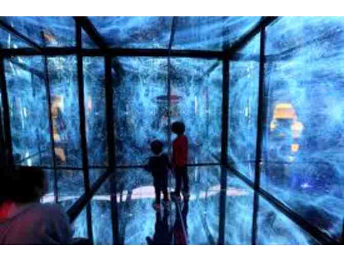 Birch Aquarium at Scripps VIP PASSES (4)