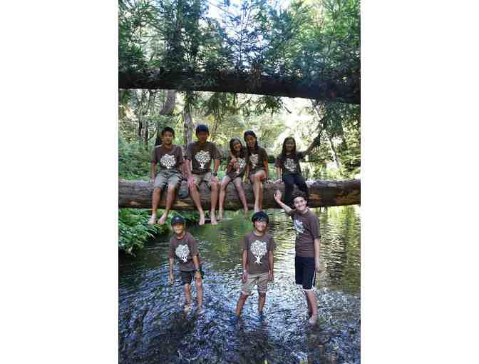 $50 Gift Certificate towards programs at Feelosopher's Path