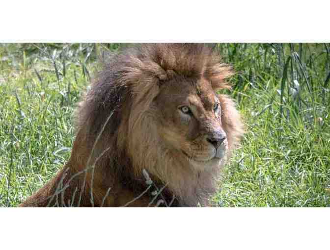 Family Day Pass to the Oakland Zoo and the new California Trail Attraction!