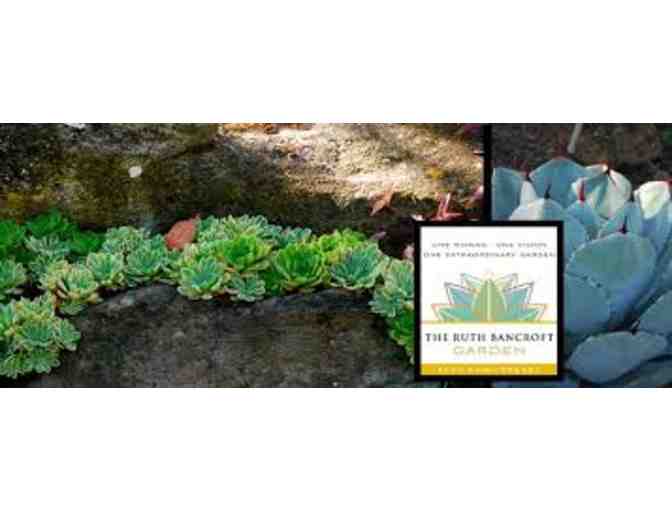 Ruth Bancroft Garden - One Year Family Membership