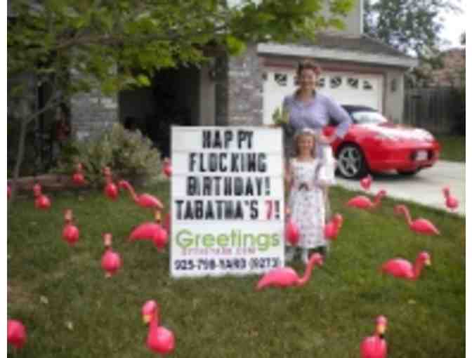 One Overnight Lawn Greeting