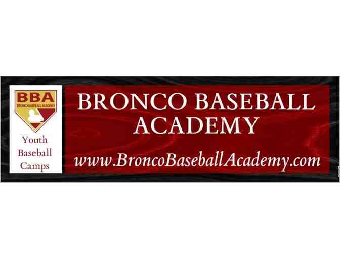 One Week of Summer Camp at Bronco Baseball Academy
