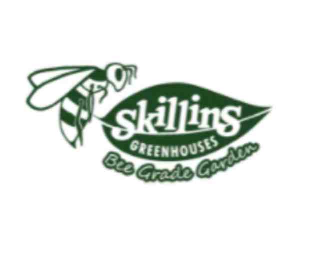 $50 to spend at Skillins Greenhouses (1 of 2) - Photo 1