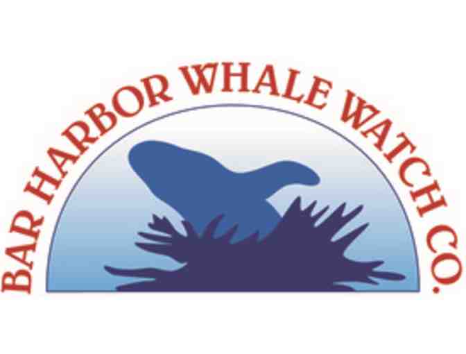 Whale Watch for 2 from Bar Harbor Whale Watch Co. - Photo 1