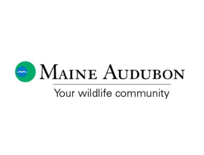 One-year Maine Audubon Household Membership - Photo 1