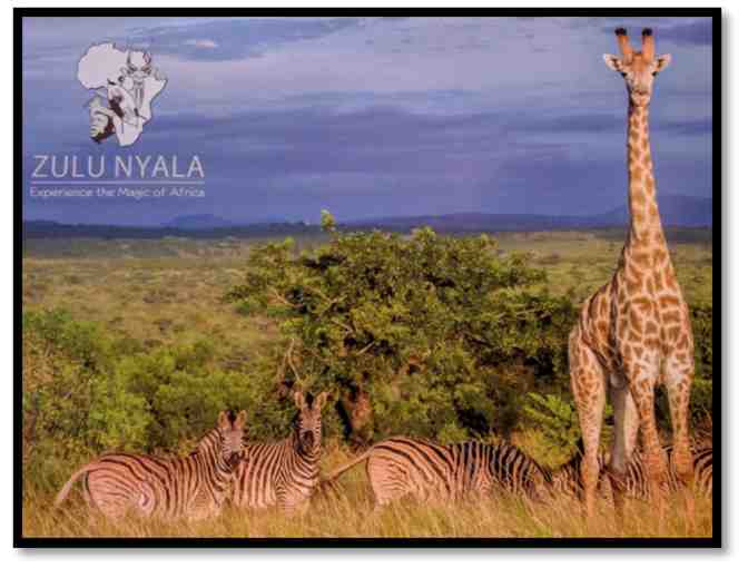 South African Photo Safari for 2 - Photo 1