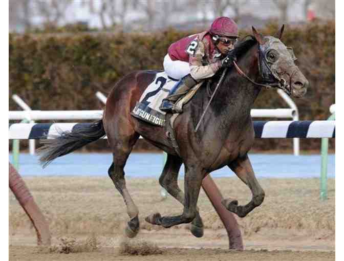 A Day at the Races from Maryland Jockey Club