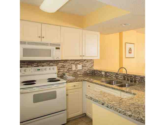 SPRING BREAK 2025 in Myrtle Beach