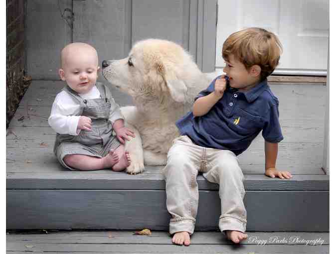 Portrait Session with Peggy Parks Photography