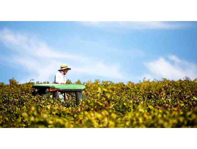 Rodney Strong Wine Estates VIP Tasting and Tour for 4