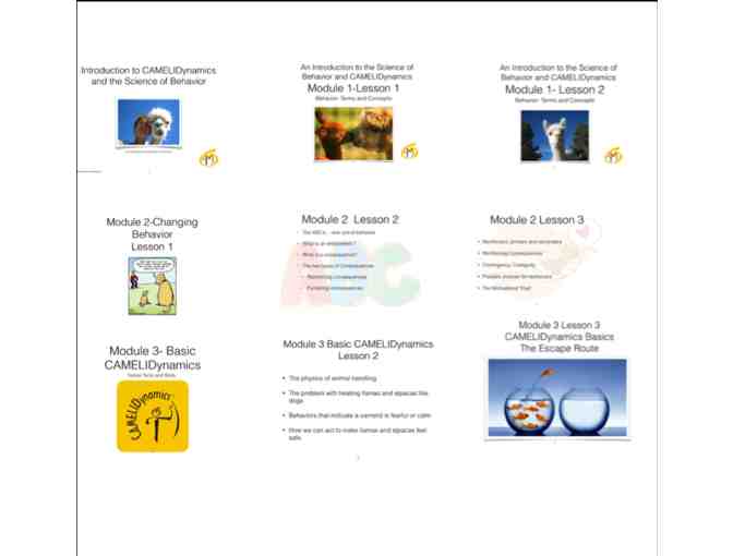 Classes in Alpaca Behavior and Handling, Online