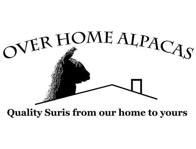 Scarf - Handwoven, 100% suri alpaca (fawn, beige, tweed)