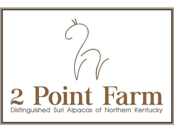 Socks - Alpaca Socks by Urban Warrior, 2 pairs (gray)