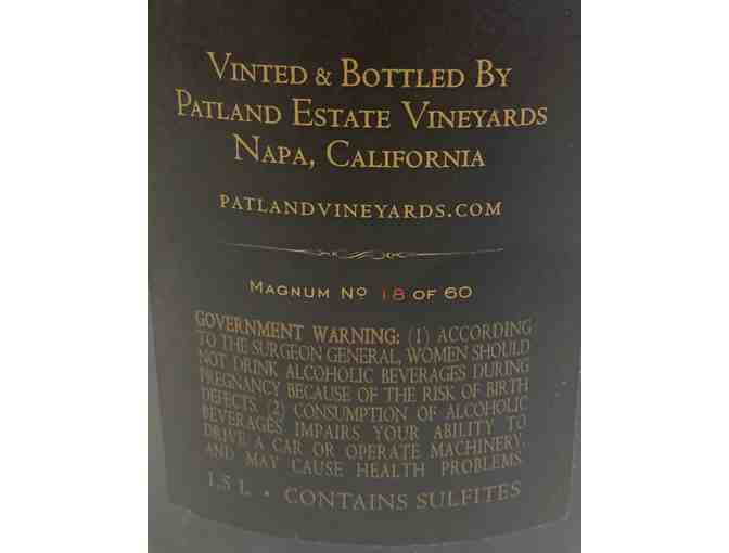 1 magnum of Patland 2009 syrah