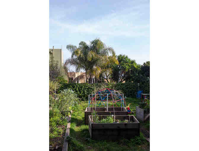 Beautiful SF Garden Apartment - 4 nights