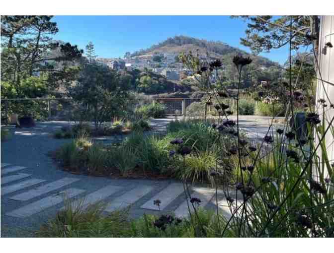 Landscape Garden Consult/Design