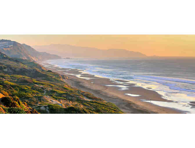 Go on a Dog Walk with Annie