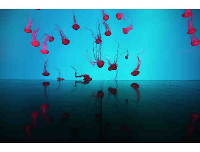 Student Group Visit for 40 to Ripley's Aquarium of Canada in 2019