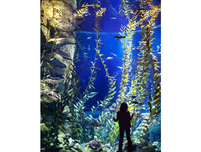Student Group Visit for 40 to Ripley's Aquarium of Canada in 2019