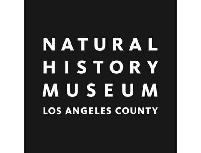 Vacation in Los Angeles Package Sponsored by Team LA