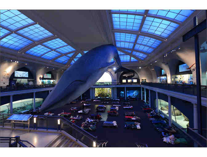 A Night at the Museum Sleepover Package for 4 at the American Museum of Natural History