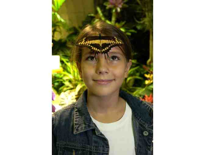 A Night at the Museum Sleepover Package for 4 at the American Museum of Natural History