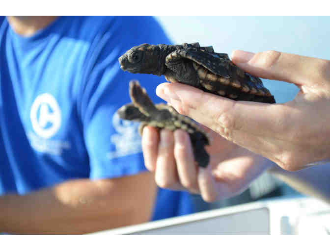 Clearwater Marine Aquarium Tickets