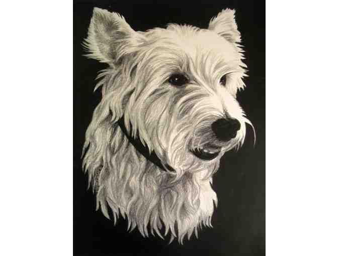 Original Pet Portrait