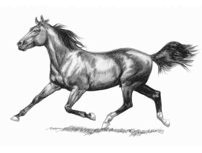 Original Pet Portrait