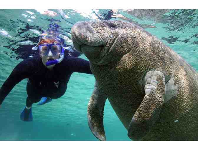 Plantation on Crystal River Getaway