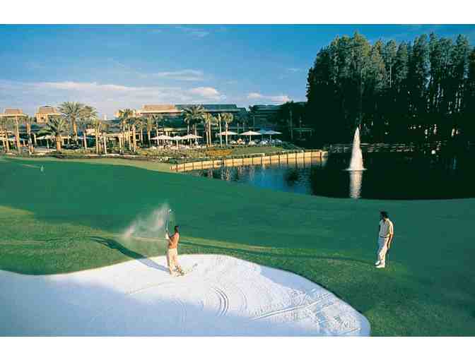 Round of Golf for Four at Saddlebrook Resort